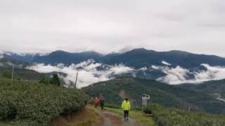 章魚哥趴趴遊，埔里六秀之一排行第四南東眼山