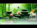 beautiful relaxing music for stress relief peaceful piano music deep sleep music u0026 meditation 8