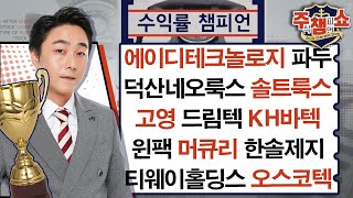 에이디테크놀로지, 덕산네오룩스, 솔트룩스, 드림텍, KH바텍, 머큐리, 한솔제지, 고영, 윈팩, 파두, 티웨이홀딩스, 오스코텍_주식 챔피언 쇼 (20241031)