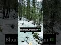 Snowfall in Bhurban, Pakistan 🇵🇰 | Winter Wonderland in Pakistan #murree