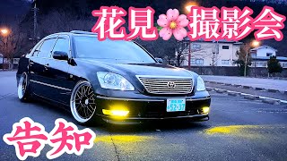 【花見撮影会 告知】セルシオ30後期 LS GS クラウンetc