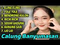 Calung Lengger Banyumasan Full Album Gayeng Bangett....!!!!!