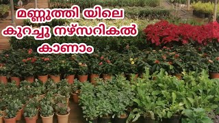 mannuthy Nursery vlog//മണ്ണുത്തിയിലേക്ക് ഒരു യാത്ര