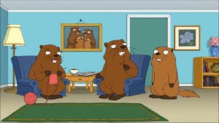 Family Guy Talking Animals Compilation