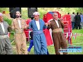 سەیرانا گوندێ سەرگەلێ 2019 sayrana gunde sergele part 2