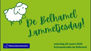 Aankondiging OERRR Lammetjesdag Schaapskudde de Belhamel 2022