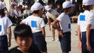 2019 10 15 佳虎　運動会　綱引き