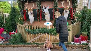 Singing Reindeers @ Byrkley Garden Centre 2023