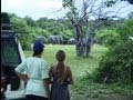 Ihaha, Chobe National Park. Camping in Botswana. Travel guide.
