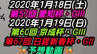 第57回 愛知杯・GIII 第60回 京成杯・GIII 第67回 日経新春杯・GII【予想動画】(2020年1月18日(土)19日(日))愛馬ネージュダムール出走します！\u0026田所調教師にひと言言いたい！