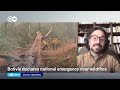 why is the government unable to contain the fires dw news