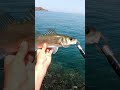 fishing in greece fishing seabass seabassfishing crete greece fishinglures summer