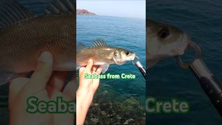 Fishing in Greece #fishing #seabass #seabassfishing #crete #greece #fishinglures #summer