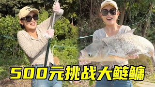 美女花500元挑战大鲢鳙，没想到直接连竿，直呼太过瘾！#钓鱼#户外钓鱼#钓鱼生活#盘老板#女钓手