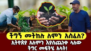 ችግኝ መትከሉ ለምን አስፈለ? ኢትዮጵያ አለምን እያስጨነቀ ላለው ችግር መፍትሄ አላት!