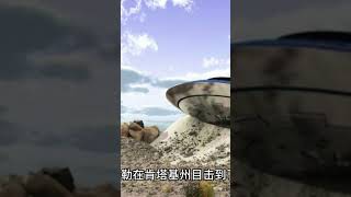 神秘生物。 Full Video 在 #小隆最top  #Top10