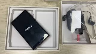 Oilsky WIFI Spotify music player