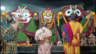 Shri Jagannath Sandhya Arati Darshan 🙏 || 19-Feb-2025