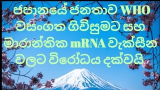 ජපානයේ මිනිසුන් 2024 අප්‍රේල් 13 WHO වසංගත ගිවිසුමට විරුද්ධව