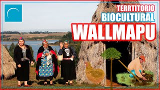 Territorio Biocultural WALLMAPU