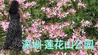 Vlog 59｜莲花山公园｜深圳