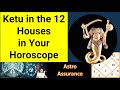 Ketu in the 12 Houses in the Horoscope || Ketu in the 12 houses in astrology