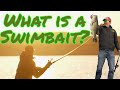 WHAT IS A SWIMBAIT: A Fishing Film