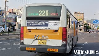 울산 남성여객 226번 [태화루사거리 ~ 옥교동]구간 주행영상