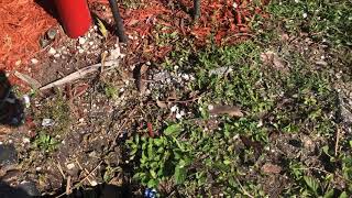 Commercial leak detection