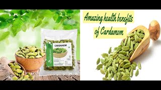 Cardamom (Elaichi) Health Benefits