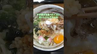 明日こそ、ぶっかけとろろうどんを！ 高知のうどん屋 おむすびころりんで肉玉うどん食べてみてやー