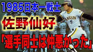 【佐野仙好さんコラボ】1985年日本一メンバーの裏側を佐野さんと暴露します