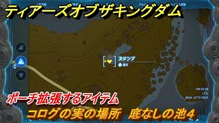 ゼルダの伝説ティアーズオブザキングダム　コログの実の場所　底なしの池４　ポーチ拡張するアイテム　＃６２５　【ティアキン】