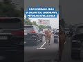 Sapi Kurban Lepas di Jalan Tol Jagorawi, Petugas Kewalahan Mengevakuasi