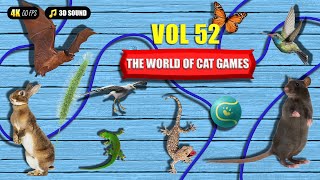 Games For Cats The Lizard, Butterfly, Gecko… Vol 52  4K, 60fps