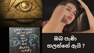 ඔබ පැණි හලන්නේ ඇයි ? The science of attraction