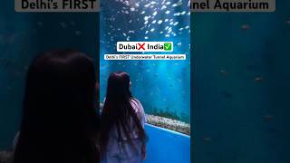 Delhi’s FIRST Underwater Tunnel AQUARIUM😍 #shorts #trending