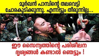 മൂര്‍ഖന്‍ പാമ്പിന്റെ തലവെട്ടി ചോരകുടിക്കുന്നു. എന്നിട്ടും തീരുന്നില്ല| Malayalam Latest movies news