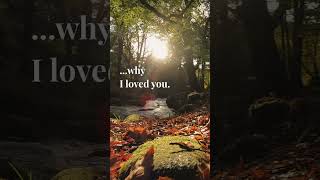 Why I loved you - Iris Song [Quotes, Poetry, Irish] #shorts
