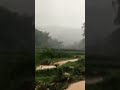 越南农村风景家乡下大雨玉米🌽和烟什么样p7447 shorst