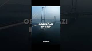 Bekara karı boşamak kolaaay, İşi Yap İşi (Recep Tayyip Erdoğan) #shorts #video #viral #status #king