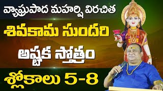 Shivakama sundari ashtakam | 5-8 slokas | Shivagami Devi | Nataraja Swami | Siddhaguru