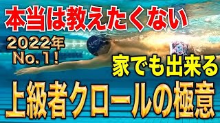 上級者スイマーのクロールのローリングの違いと練習方法　#1120