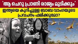 Baba Vanga | ആ ചെറു പ്രാണി രാജ്യം മുടിക്കും'; ഇന്ത്യയെ കുറിച്ചുള്ള ബാബ വാംഗയുടെ പ്രവചനം ഫലിക്കുമോ?