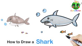 兒童簡筆畫大鲨鱼How to Draw A Great White Shark Step by Step！ Easy Drawings for kids【西瓜寶寶學畫畫學英語】兒童繪畫簡筆畫教程