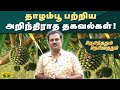 தாழம்பூ பற்றிய அறிந்திராத தகவல்கள்! | Therinthathum Theriyathathum | Kaalai Malar | JayaTv