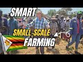 Kurima Kune Mari | Farming as a Business – Turning Agriculture into Profit