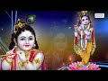 मुझे वृन्दावन धाम बसाले रसिया beautiful shyam bhajan chitra vichitra maharaj saawariya