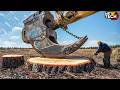 Extreme Dangerous Fastest Big Chainsaw Cutting Tree Machines | Biggest Heavy Equipment Machines #6