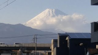 【富士山が見える駅】三島二日町駅 現地レポート【駿河の国の鶴見線⁉️】